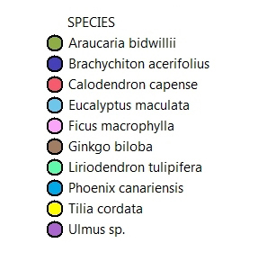 Tree Index